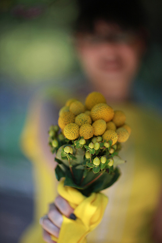 Yellow Craspedia and Hypericum Berry Wedding Flowers