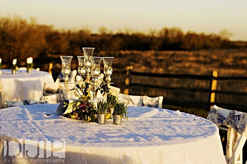 Real Wedding Pictures - Reception Table