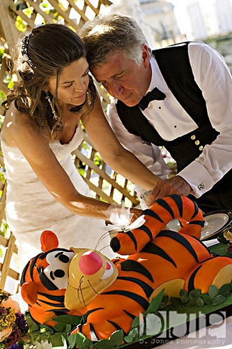 Real Wedding Pictures - Tigger Cake