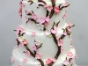 Cherry Blossom White Wedding Cakes